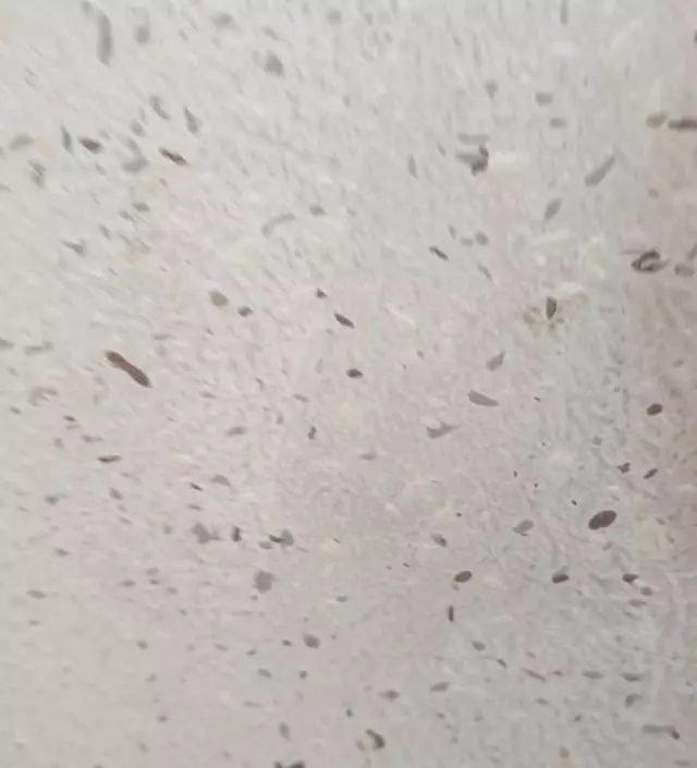 네이버페이에서 작성된 후기입니다.
