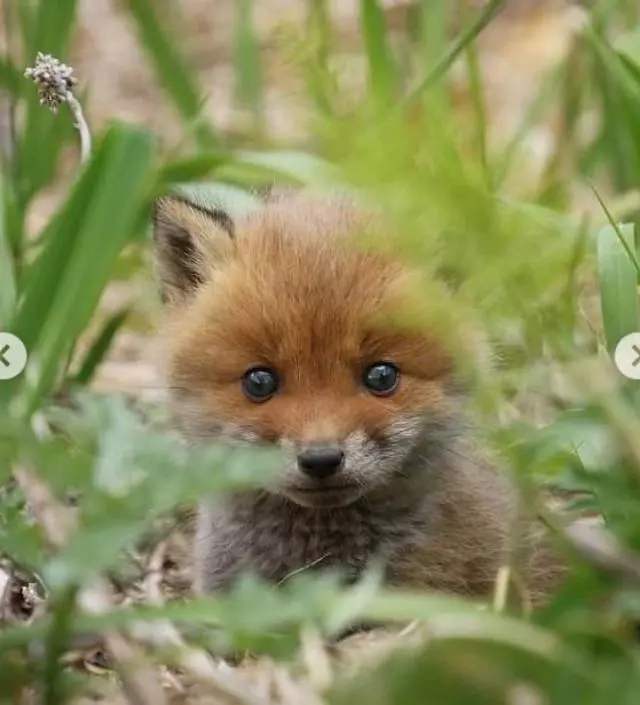 네이버페이에서 작성된 후기입니다.
