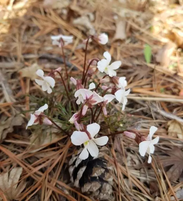 네이버페이에서 작성된 후기입니다.
