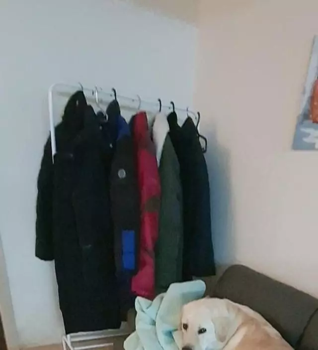 [네이버브랜드스토어 리뷰] 잘쓰고있습니다~~~