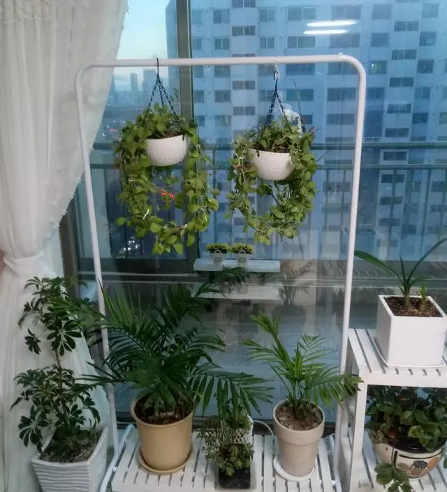 [네이버브랜드스토어 리뷰] 화분 정리대로 구매했어요. 마음에 듭니다~