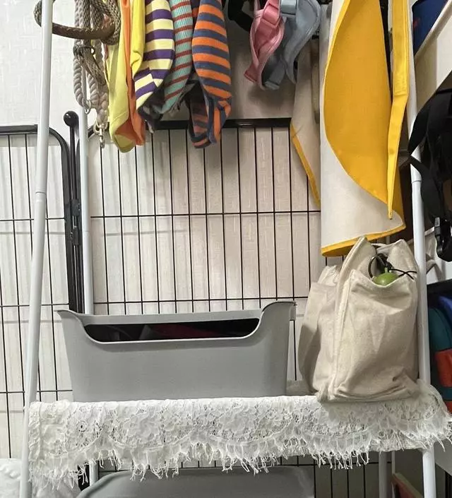 [네이버브랜드스토어 리뷰] 우리 귀욤둥이 강아지 행거에요!
