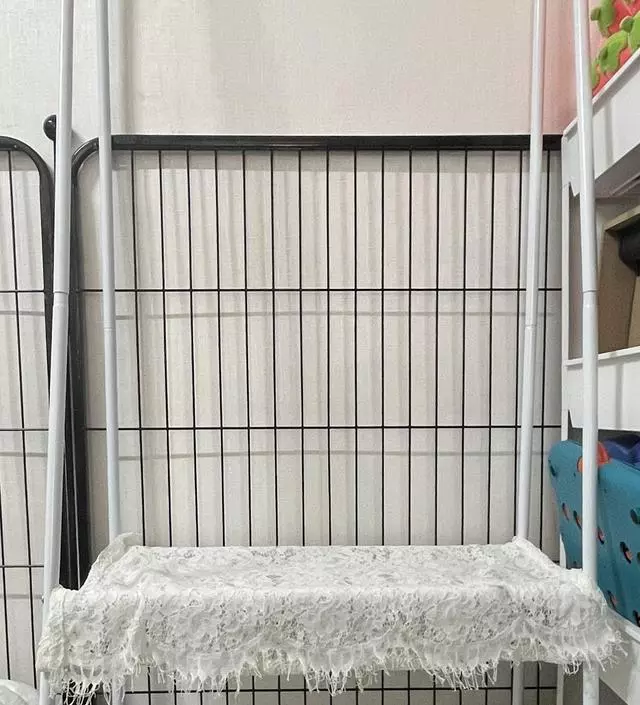 [네이버브랜드스토어 리뷰] 우리 귀욤둥이 강아지 행거에요!
