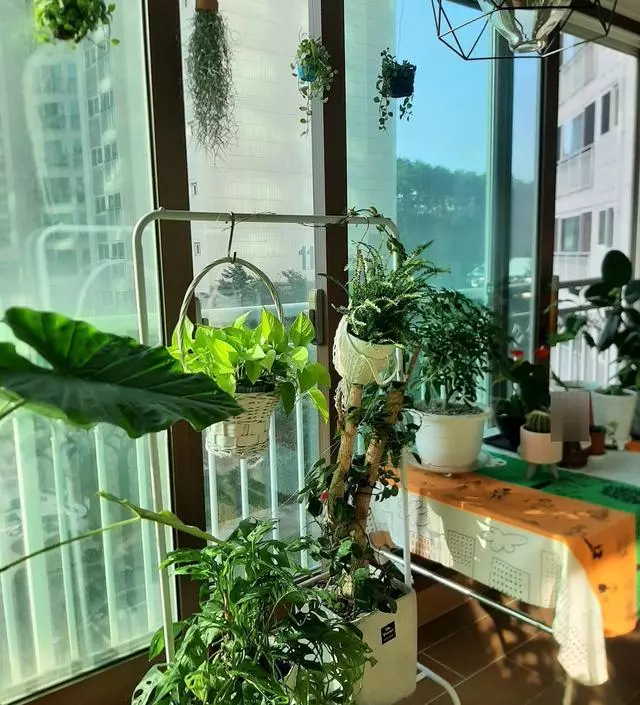 [네이버브랜드스토어 리뷰] 처음에 불량품이 왔지만 잘 대응해 주셨고 빠르게 잘못된 부품을 다시 보내주셨다. 가격