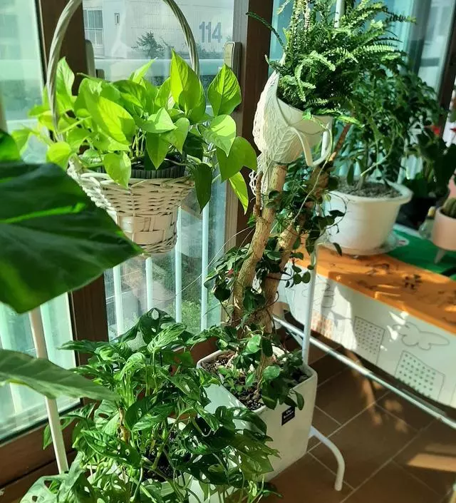 [네이버브랜드스토어 리뷰] 처음에 불량품이 왔지만 잘 대응해 주셨고 빠르게 잘못된 부품을 다시 보내주셨다. 가격