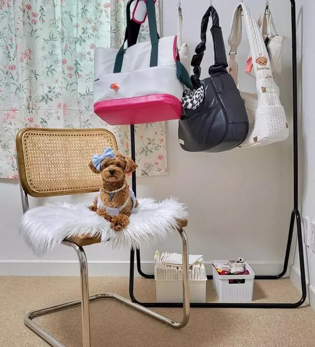 [네이버브랜드스토어 리뷰] 반려동물과 함께 생활하다보니 점점 짐이 늘어 수납할 공간이 부족해지더라구요.
