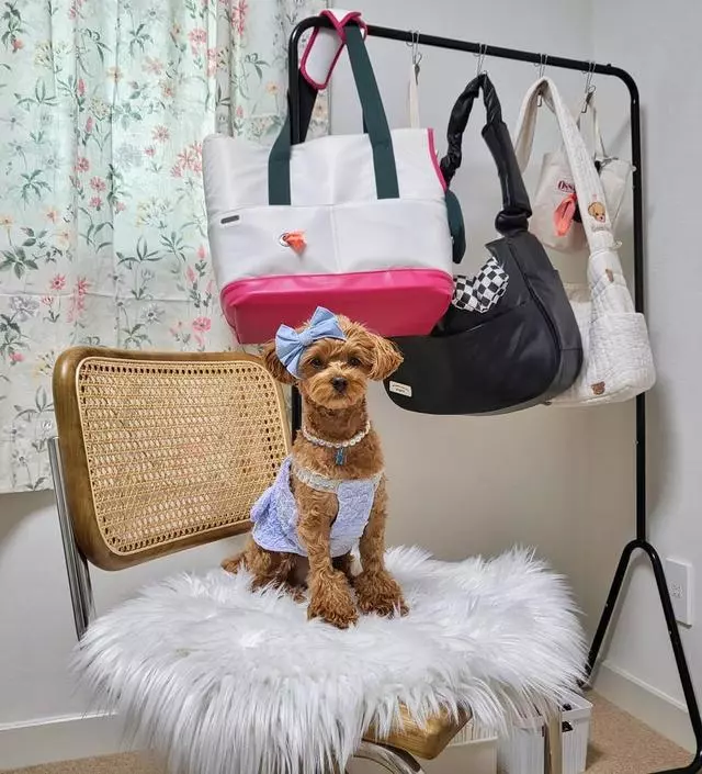 [네이버브랜드스토어 리뷰] 반려동물과 함께 생활하다보니 점점 짐이 늘어 수납할 공간이 부족해지더라구요.
