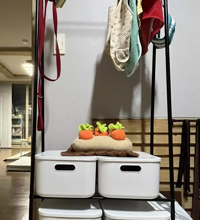 [네이버브랜드스토어 리뷰] 강아지 물건을 상자에 보관했는데 양이 점점 많아져서 정리좀 해보자 하고 구매했어요.