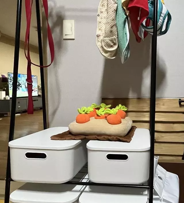 [네이버브랜드스토어 리뷰] 강아지 물건을 상자에 보관했는데 양이 점점 많아져서 정리좀 해보자 하고 구매했어요.