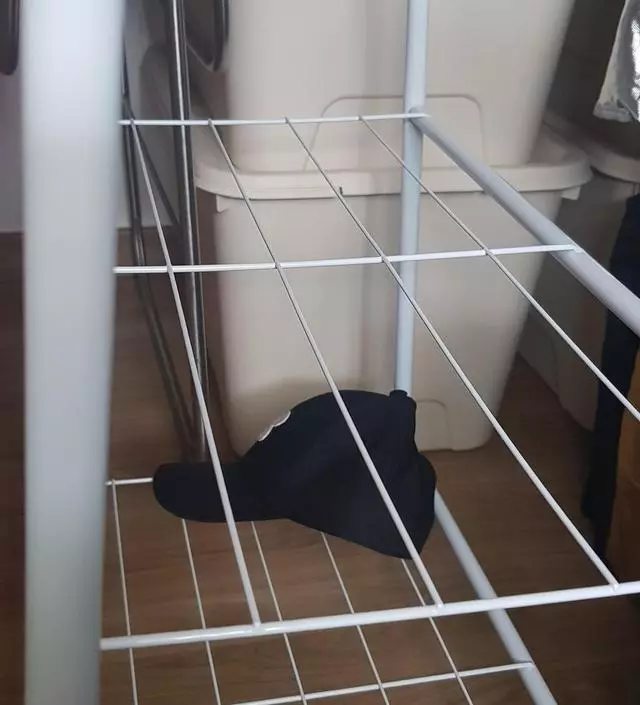 [네이버브랜드스토어 리뷰] 포장ㆍ배송ㆍ제품 만족입니다