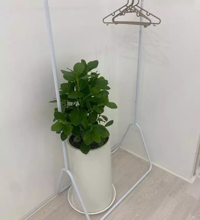 [네이버브랜드스토어 리뷰] 가로로 짧은걸 찾고있었는데 좋아요 ㅎㅎ