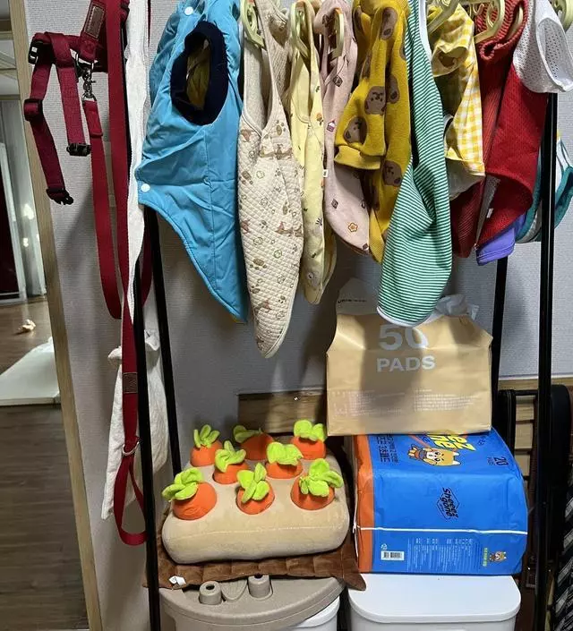 [네이버브랜드스토어 리뷰] 강아지 물건 정리해놓고 너무 잘 쓰고 있어요!!