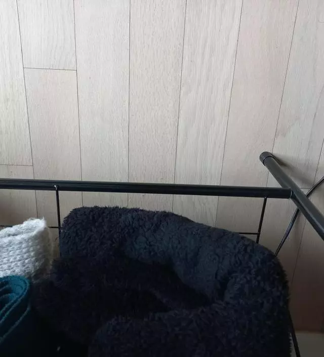 [네이버브랜드스토어 리뷰] 잘쓰구있어요 저렴한맛에