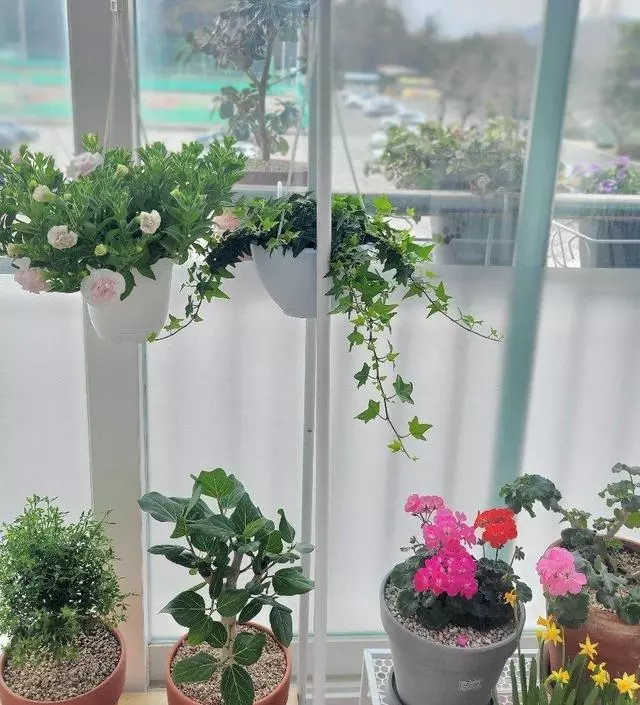 [네이버브랜드스토어 리뷰] 화분 정리대로 사용하고 있는데 제법 무거운
