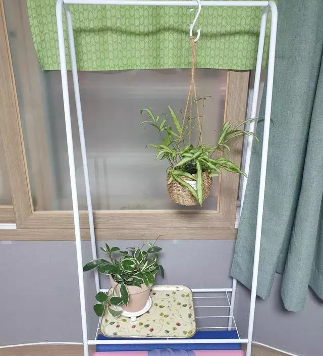 [네이버브랜드스토어 리뷰] 가격대비 괜찮아요, 조립하기도 쉽고요
