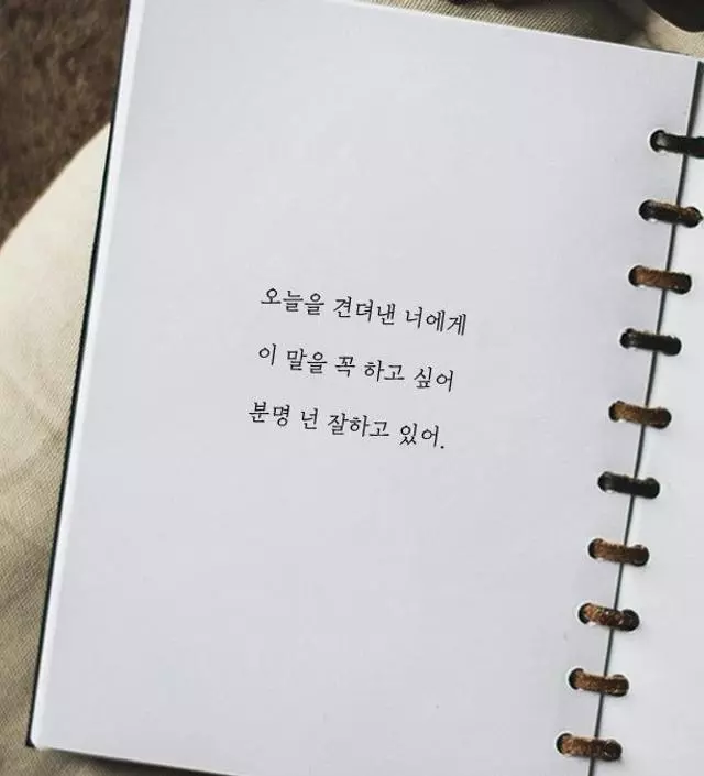 [네이버브랜드스토어 리뷰] 생각보다 견고하고 마음에듭니다