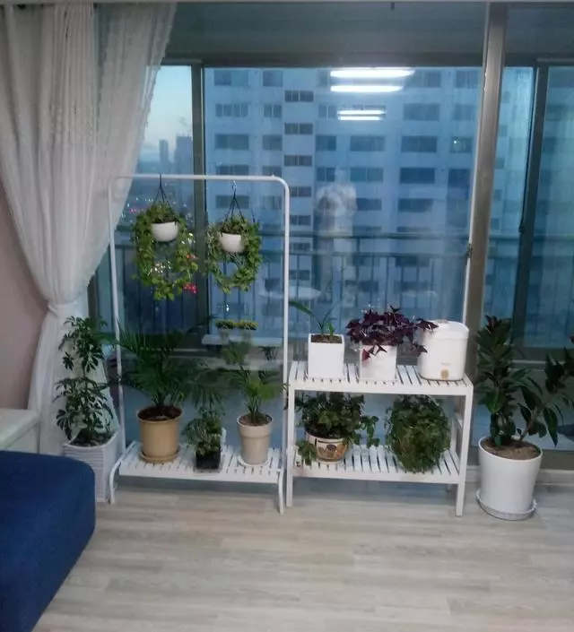 [네이버브랜드스토어 리뷰] 화분 정리대로 구매했어요. 마음에 듭니다~