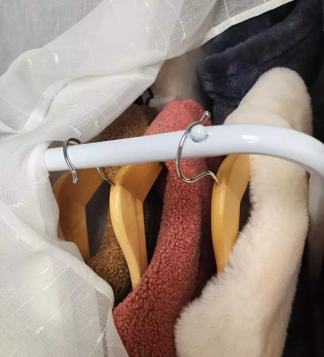 [네이버브랜드스토어 리뷰] 다른곳에서 하단 부분이 일자로 되어 아래 짐을 놓을 수 있는 철제 행거를 샀었는데 부