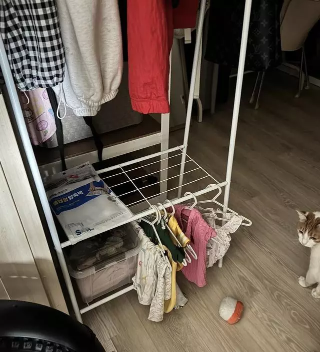 [네이버브랜드스토어 리뷰] 외출하고 한번 입은 옷 걸어놓고, 하측엔 강아지들 옷 걸어놓으려고 주문했습니다 
