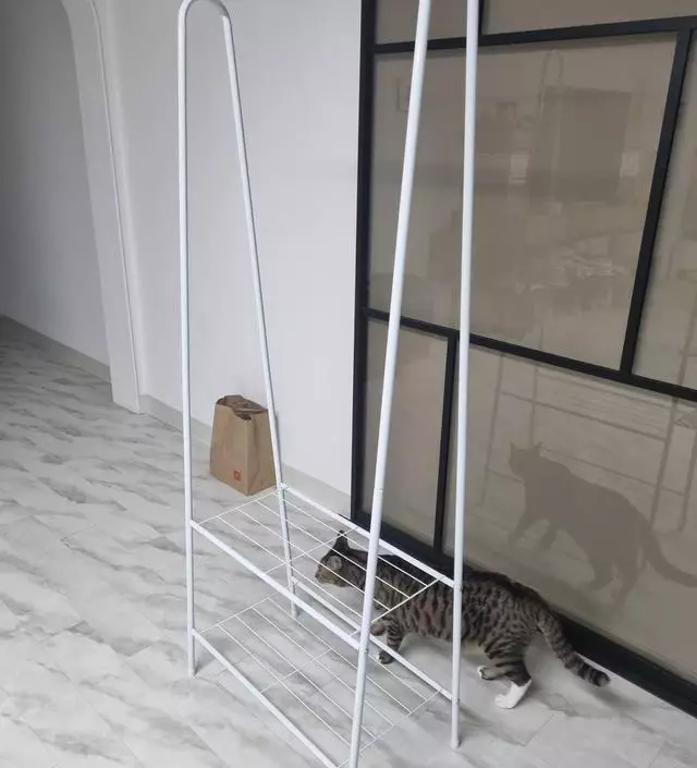 [네이버브랜드스토어 리뷰] 빠른배송 감사합니다. 사용해보고 추가 후기 남기겠습니다