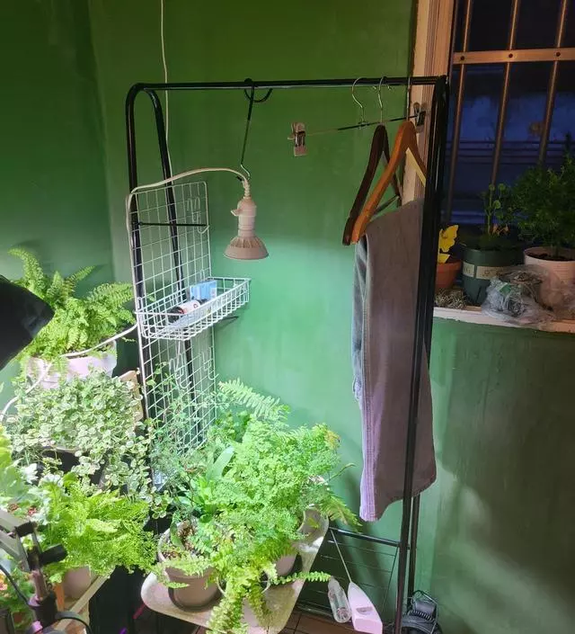 [네이버브랜드스토어 리뷰] 식테리어하는데 행잉식물이랑 선반으로 쓰려고 구매했는데 가운데는 좀 약한대신 대 부