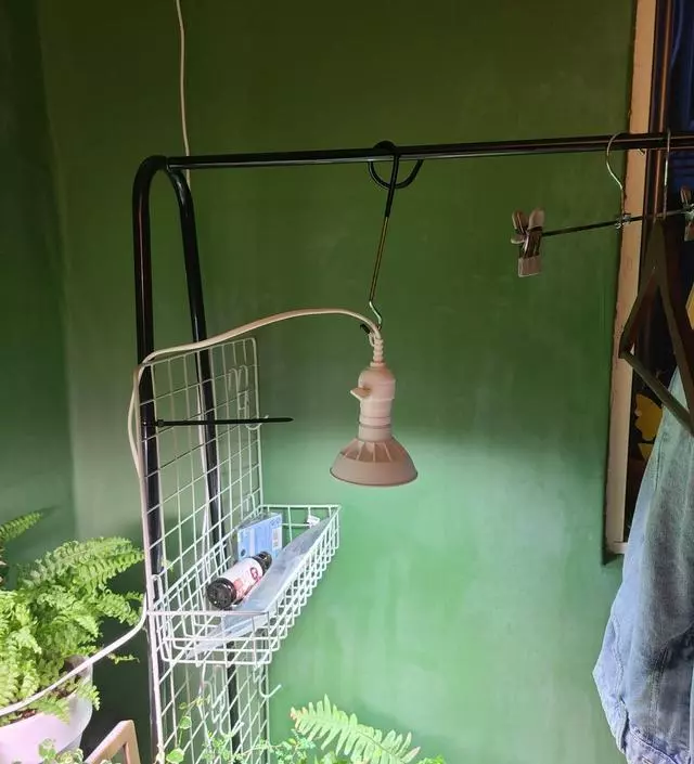 [네이버브랜드스토어 리뷰] 식테리어하는데 행잉식물이랑 선반으로 쓰려고 구매했는데 가운데는 좀 약한대신 대 부