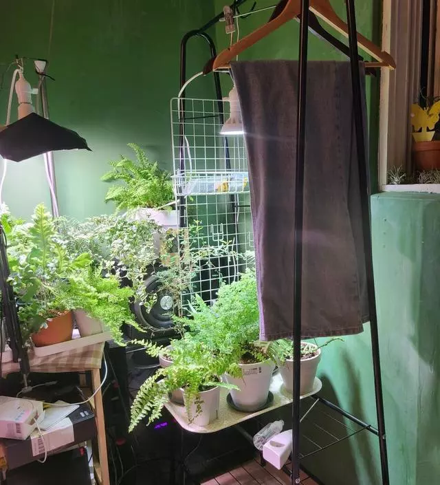 [네이버브랜드스토어 리뷰] 식테리어하는데 행잉식물이랑 선반으로 쓰려고 구매했는데 가운데는 좀 약한대신 대 부