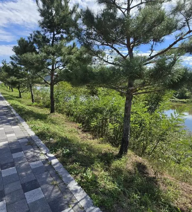 [네이버브랜드스토어 리뷰] 조아요조아요조아요조아요조아요