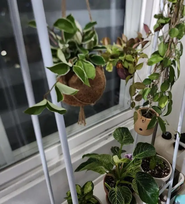 [네이버브랜드스토어 리뷰] 화분거치용으로 삿는데 좋아요 만족합니다