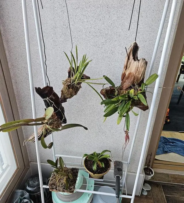 [네이버브랜드스토어 리뷰] 좋아요   크기도 맘에들고 딱이네여