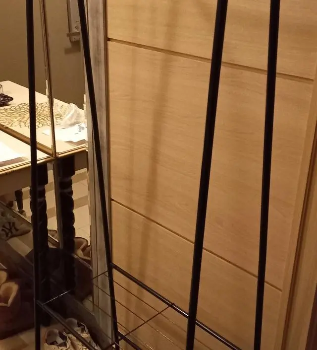 [네이버브랜드스토어 리뷰] 배송은 정말 짱인데요. 어제 주문한 게 오늘 도착했네요. 제품에 하자는 없지만 누가 반