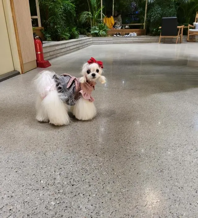 [네이버브랜드스토어 리뷰] 컴팩트한 사이즈라 사용이 편리해요