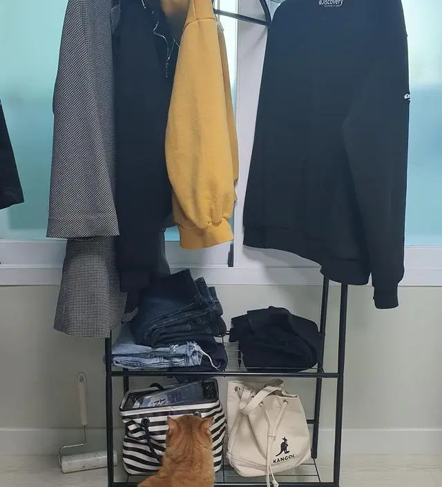 [네이버브랜드스토어 리뷰] 짧게 입어 세탁하기는 그런 옷들을 따로 걸어두려고 미니 행거를 찾고 있었습니다. 화이