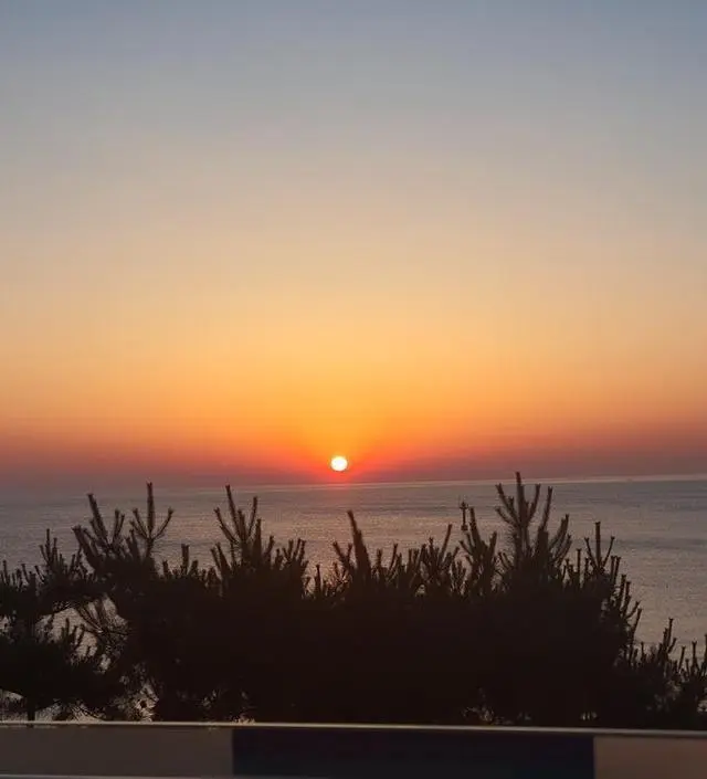 [네이버브랜드스토어 리뷰] 좋아요 좋아요 좋아요