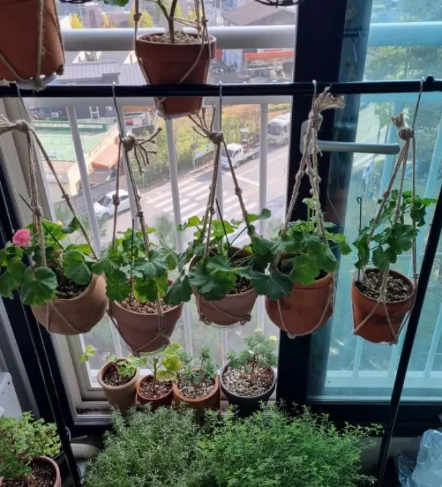 전 화분걸이로 사용할려고 이 제품을 구매했어요. 그냥 저냥 저렴한 것으로 구매 했습니